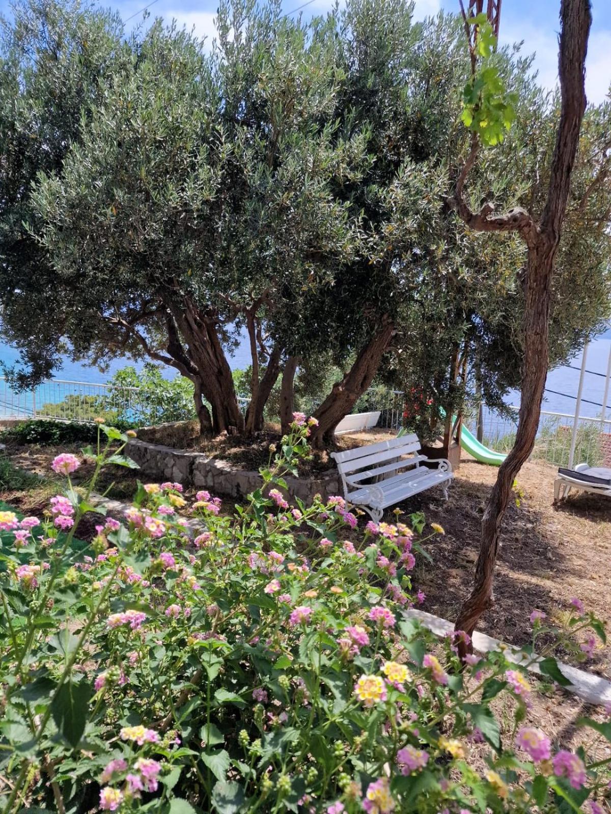 Apartment Panorama - Amazing Sea View, Newly Renovated Dugi Rat Dış mekan fotoğraf